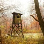 Blind in Wooded area History of Hunting Blinds Featured Image