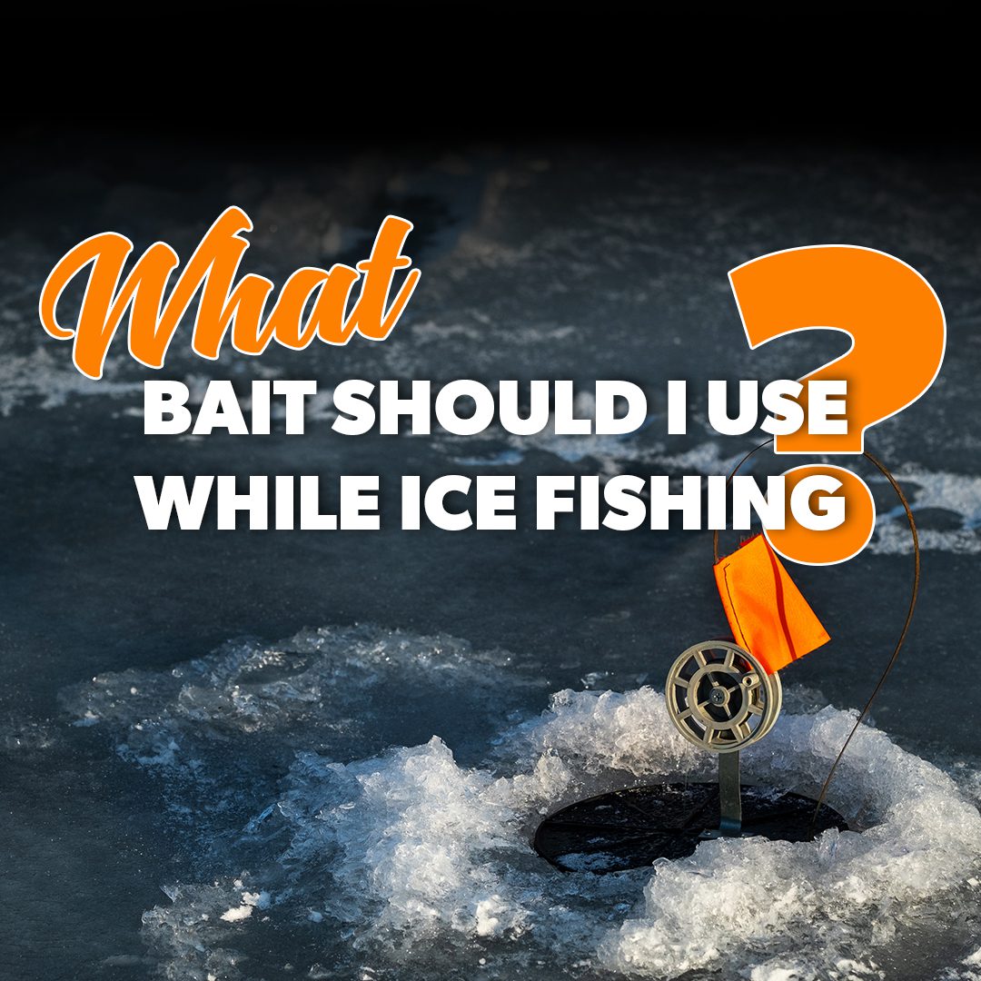 What is the Best Ice Fishing Bait