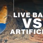 Live Vs Artificial bait