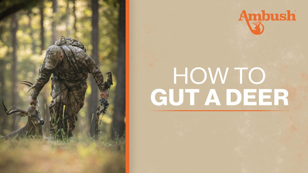 How to Gut a Deer