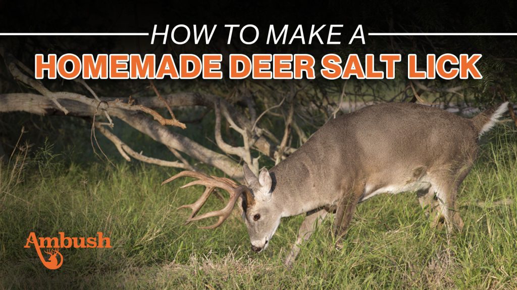 How to make a homemade deer salt lick