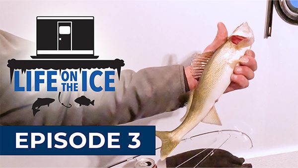 Life on the Ice Episode 3 - fishing for Walleyes